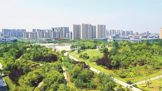 沛县小巷探秘,独特风味的最新探秘之旅