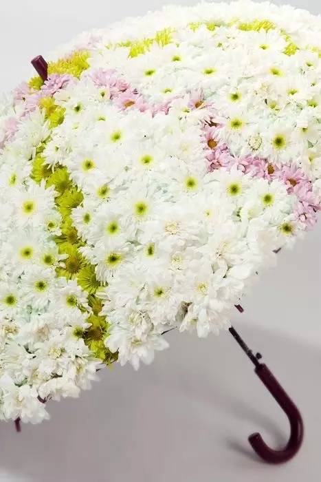 巷弄深处的独特小店,最新散花下的味蕾之旅