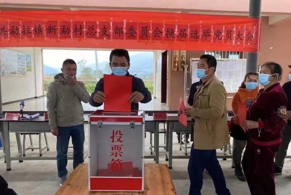 小巷深处的隐藏之选,最新选举下的小店探索之旅