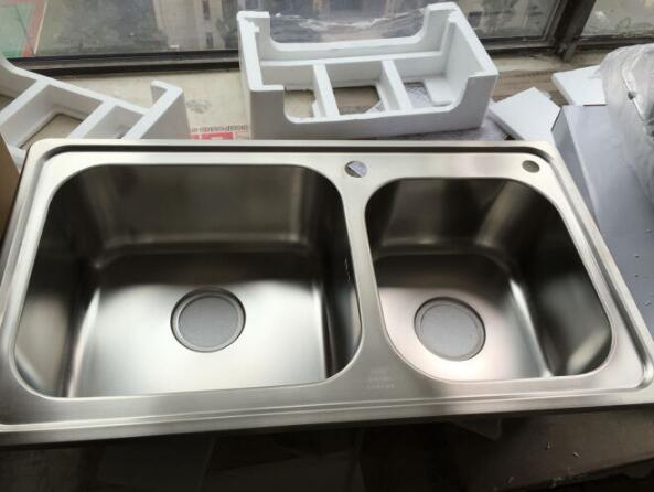 最新水槽日常趣事分享