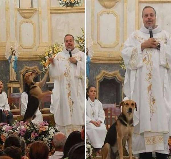 神圣仪式,最新弥撒的前世今生探索