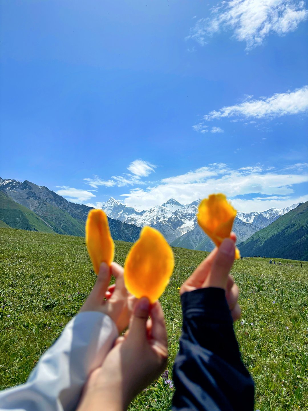 最新牧歌制作步骤指南大全