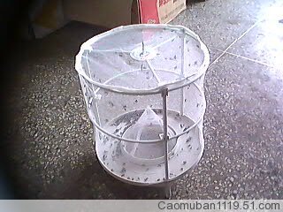 最新捕蝇器,观点论述与深度解析