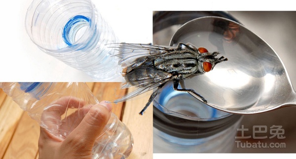 最新捕蝇器,观点论述与深度解析