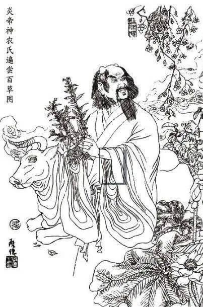 神农最新动态,探索农业科技的前沿进展