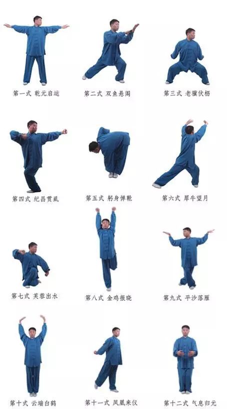 最新武术修炼技巧探索,现代武术功法更新与修炼进阶秘籍