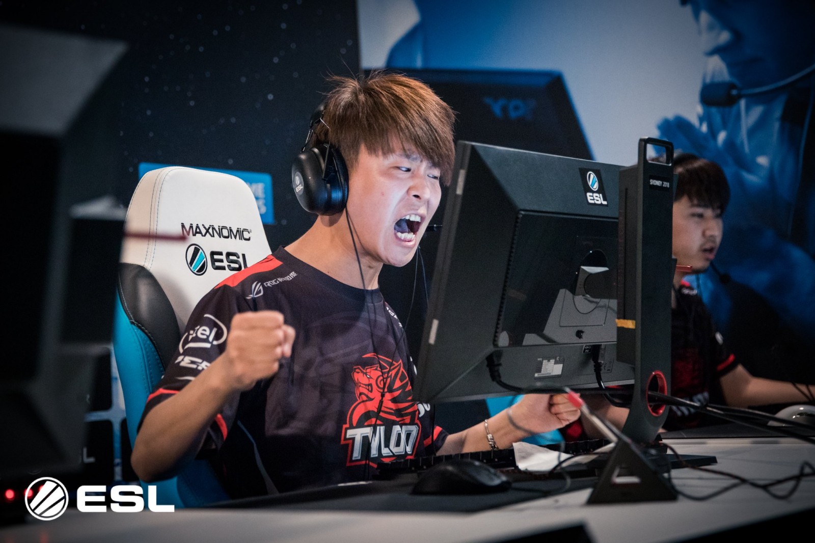 TYL最新动态,潮流前沿的独家报道