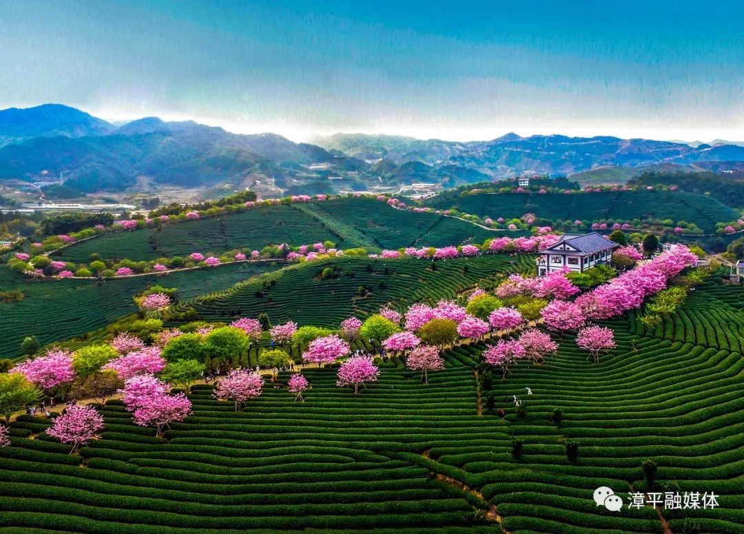 漳平最新任务指南,完成某项任务或学习某种技能的详细步骤教程