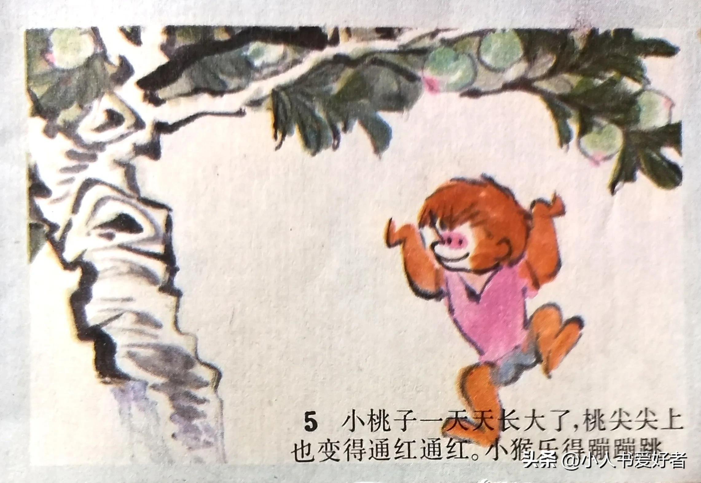 最新分桃,一场自然美景的探索之旅