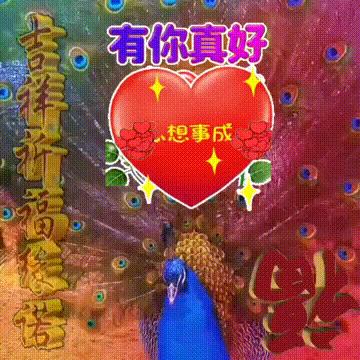 最新爱你,深情表达的综合步骤指南,适合初学者与进阶用户