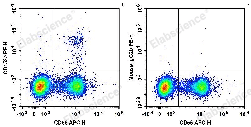 流式最新技术,重塑生活,体验前所未有的科技魅力