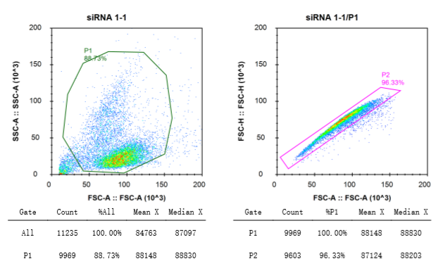 流式最新技术,重塑生活,体验前所未有的科技魅力