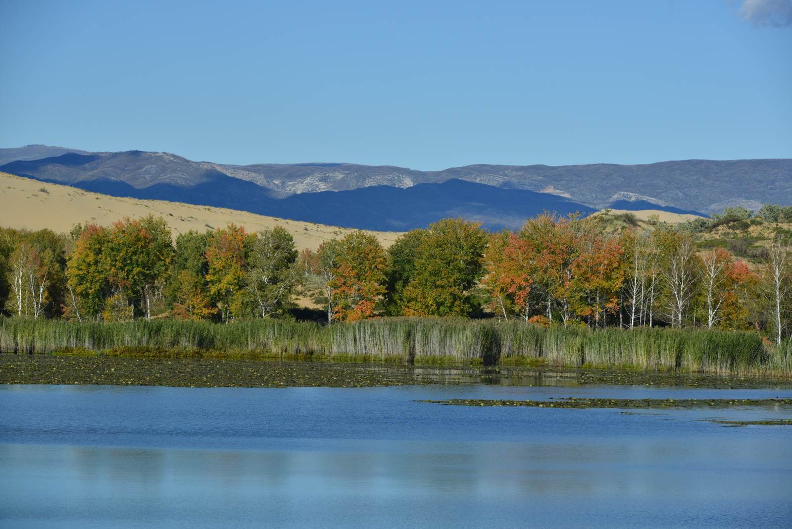 哈巴河美景如画,自然魅力的尽情展现!