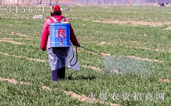 现代除草技术革新探索,最新除草技术解析