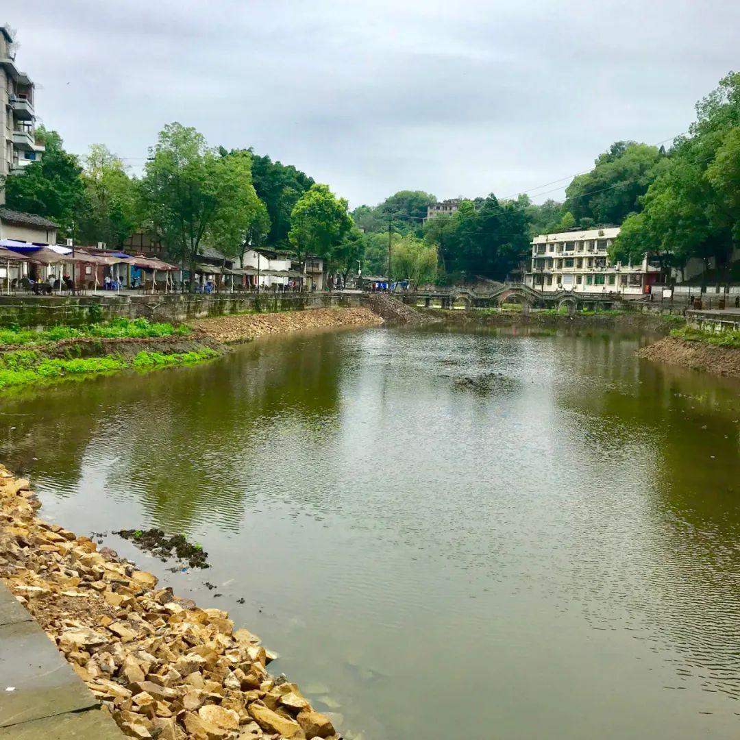 西湖的自然美景与现代发展的融合观点解析