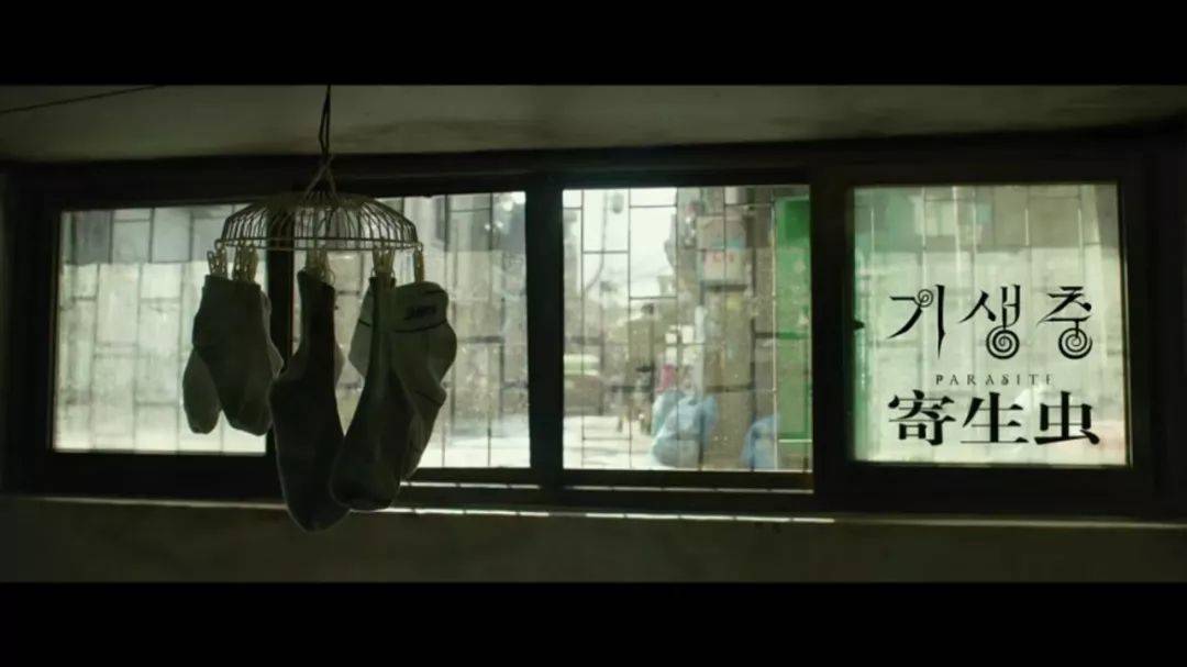 电影寄生虫揭示社会阶层与人性复杂交织的深刻剖析✨