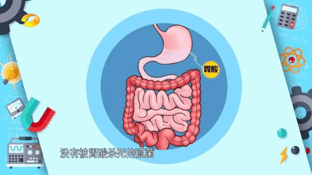 新冠病毒最新动态,智能监测利器引领科技前沿,重塑生活新篇章!