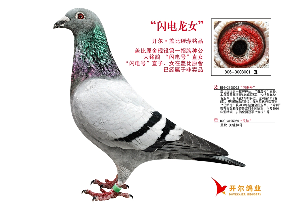 开尔上市日,友情见证,光辉闪耀之时