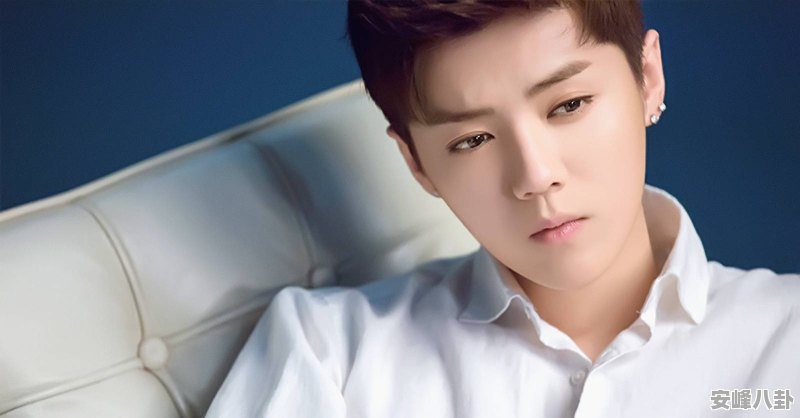 胡姓男演员,演技、影响力与个人立场深度探讨