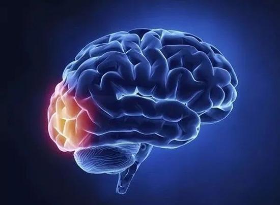 最新特效药品指南，获取方法与使用说明