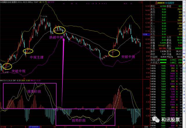 和讯股票行情中的温情日常解析