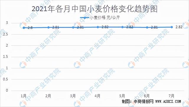 下半年冬瓜行情展望,冬瓜的友情故事与奇妙旅程分析