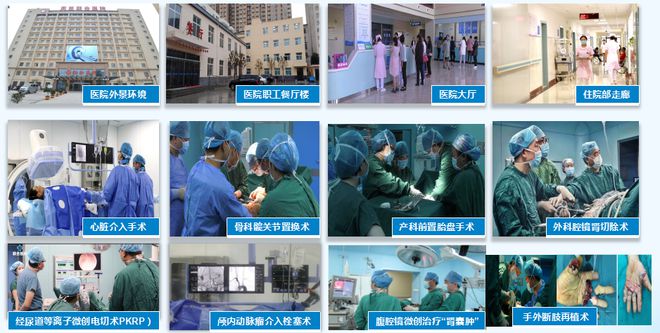 周至最新职位招聘,开启求职之旅,欢笑与友情相伴的职场之旅