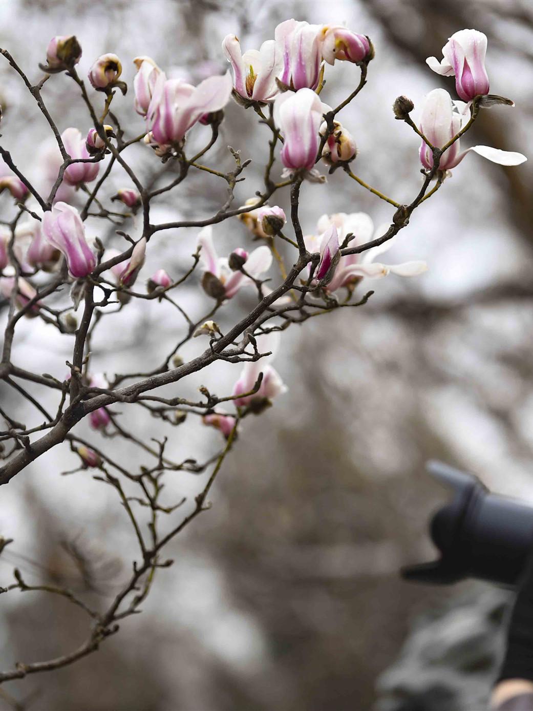 动漫最新上线,动漫最新上线,一场探索自然美景的轻松之旅