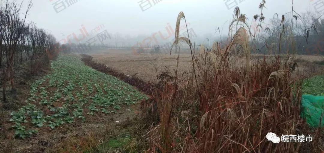 南山锡业最新动态,锡的故事与家的温馨传递温暖人心