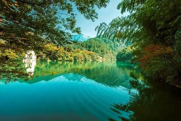 芜湖三潭音讯更新及其多维视角分析