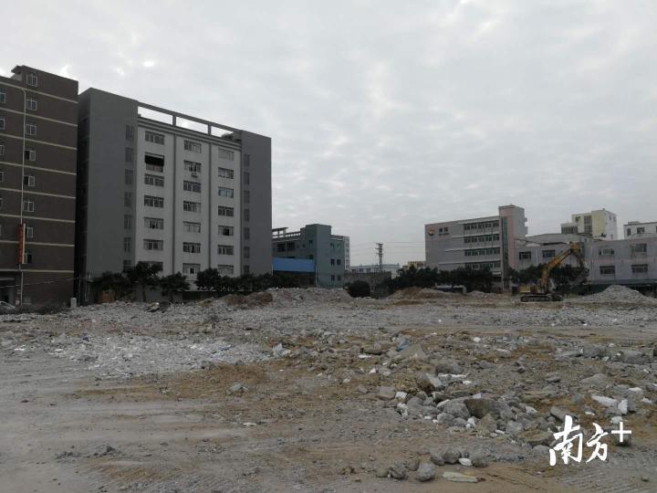 联塑最新动态,心灵与自然的完美交融之旅