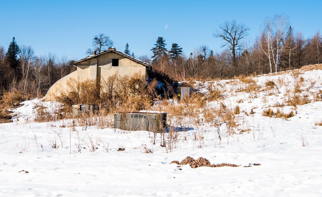 原始人新发现,对人类起源认知的重新审视与探索