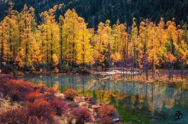 原始人新发现,对人类起源认知的重新审视与探索