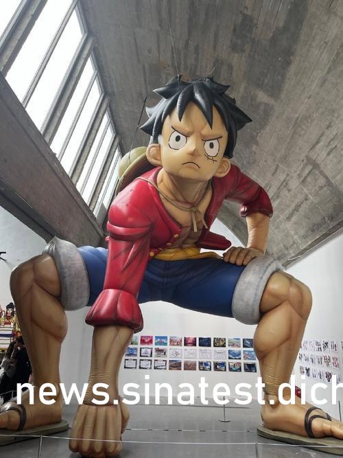 非缘勿扰未删减版电视剧全集深度解析与观看指南