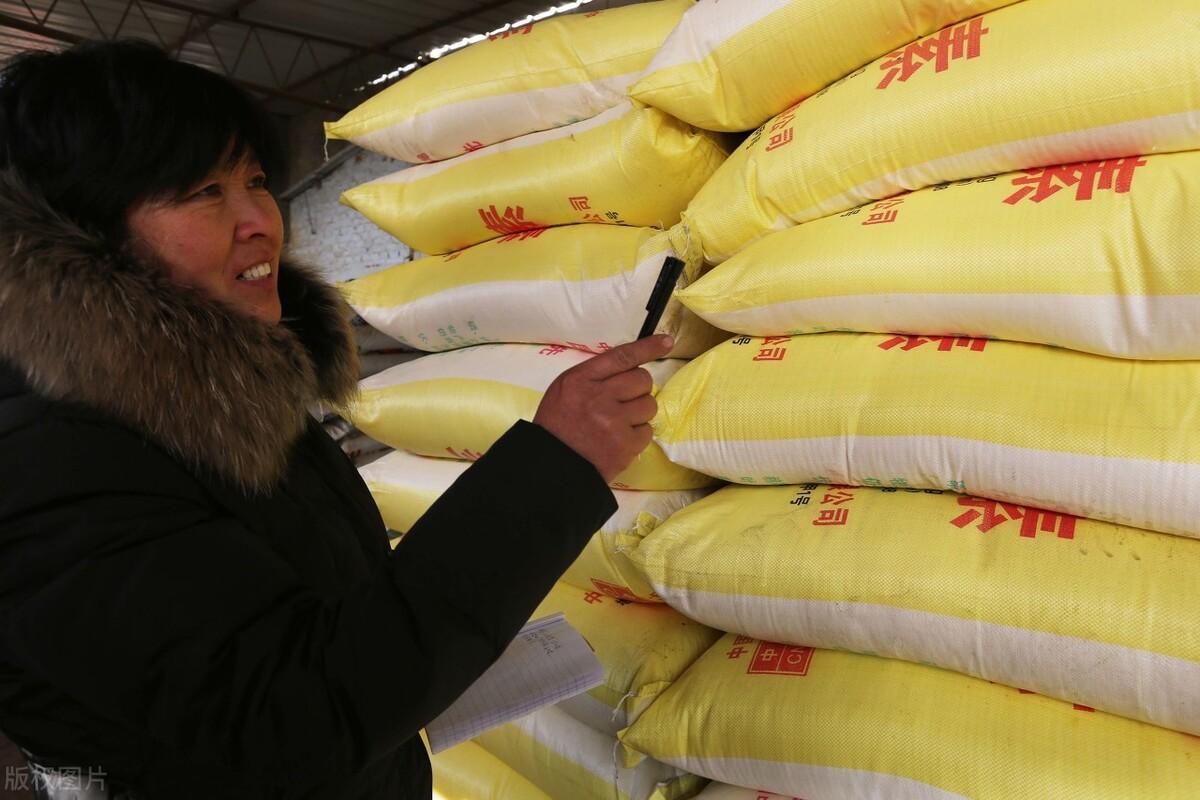 化肥价格行情更新与乡间趣事概述