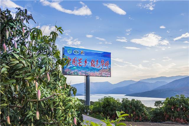 邂逅神秘丈夫,心灵与自然的奇妙旅程最新章节