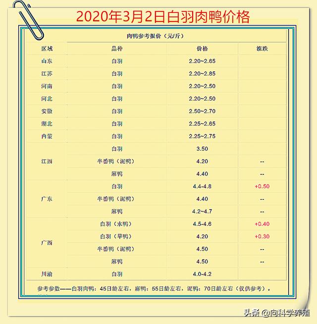 今日全国鸭苗毛鸭价格概览及分析