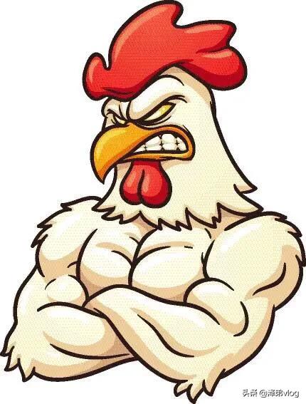 最新鸡病毒动态及其潜在影响,一种观点的解析