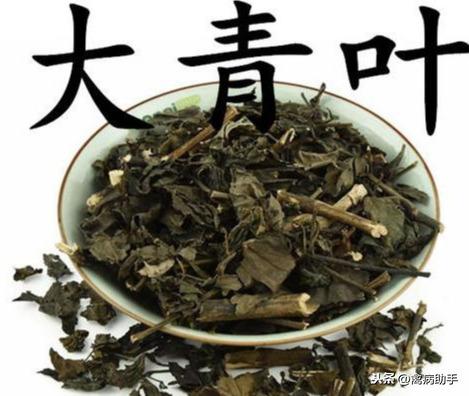 最新鸡病毒动态及其潜在影响,一种观点的解析