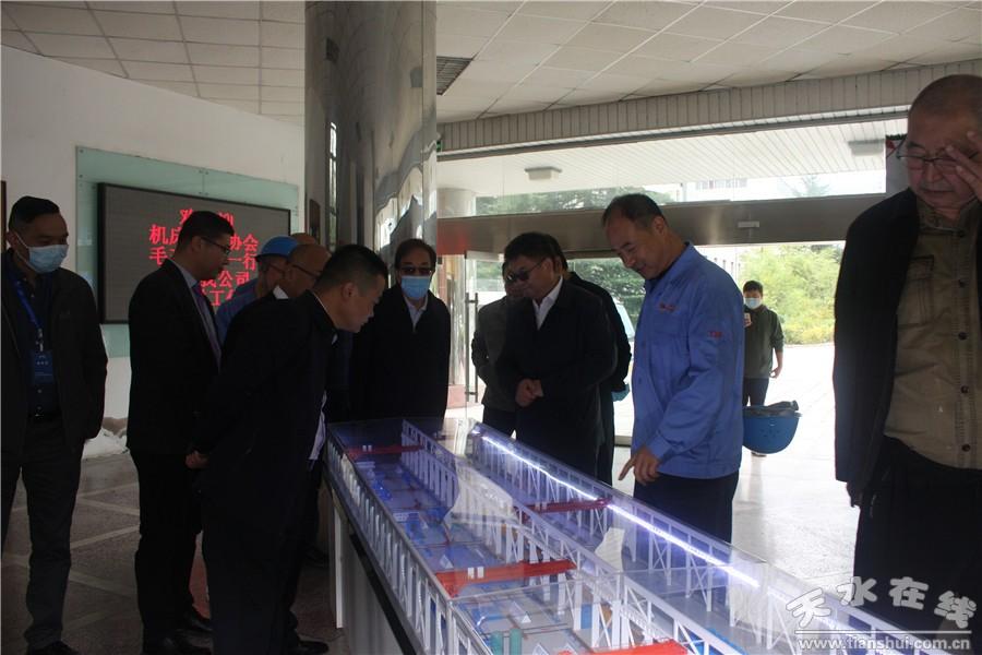 天水的明星,天水的明星,闪耀的星光