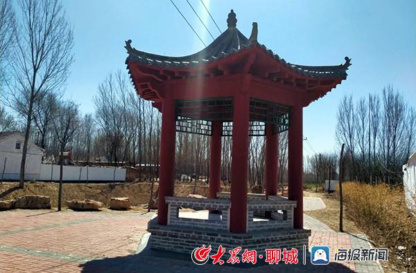 高唐李村最新动态与绿意盎然的发展🌱🏡