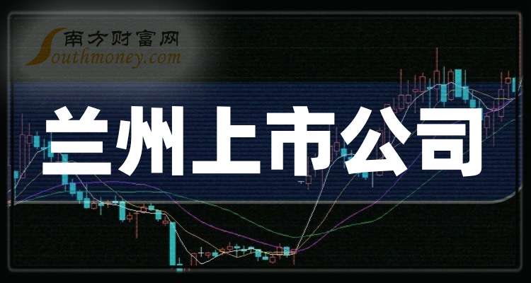 兰州上市公司名单,时代印记与影响力的展现