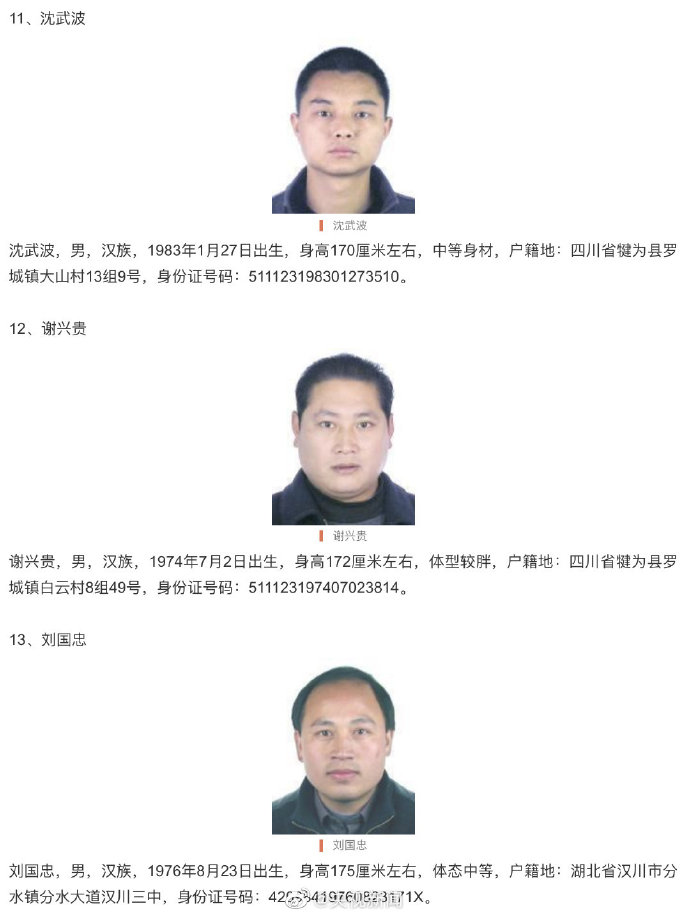 最新通缉案件详解,应对步骤指南(适用于初学者与进阶用户)