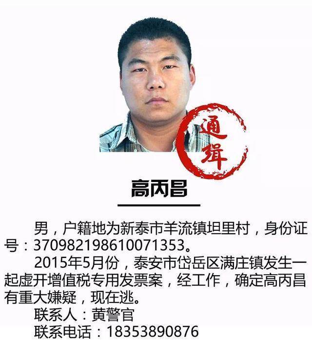 最新通缉案件详解,应对步骤指南(适用于初学者与进阶用户)