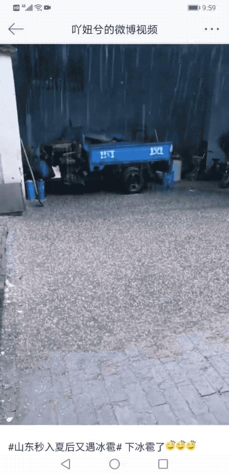 高科技监测体系下的台风鸽子最新动态与未来预警体验