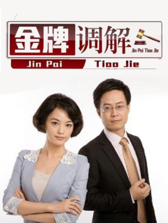 深度剖析,金牌调解精选案例回顾与解析