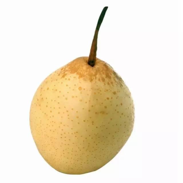 春季水果盛宴,果香四溢的友情时光