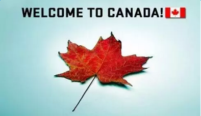 加拿大生育新政策深度解读