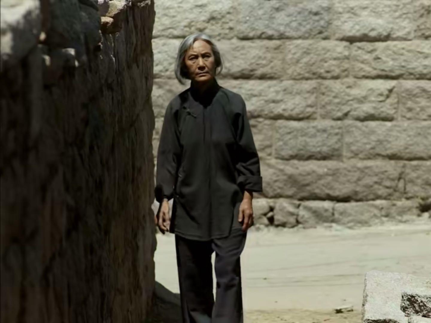 桂兰演员,演艺之路的闪耀之星