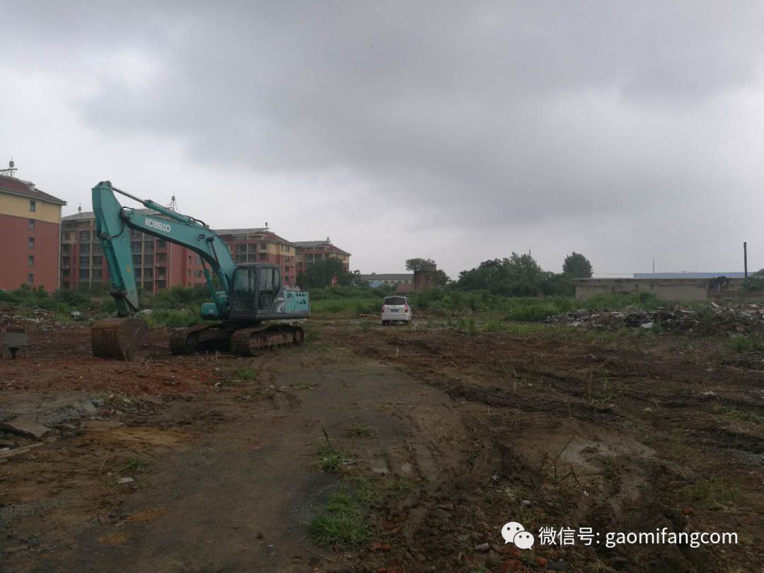 高密资讯新动态,自然美景的治愈之旅探索